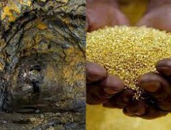 Papua Miliki Harta Karun Gunung Emas Baru Blok Wabu yang Miliki Sumberdaya Emas 8,1 Juta ons